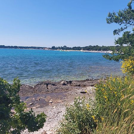 Neu Renovierte Ferienwohnung Mit Klima, Wlan, Terrasse Und Grill Pula Bagian luar foto
